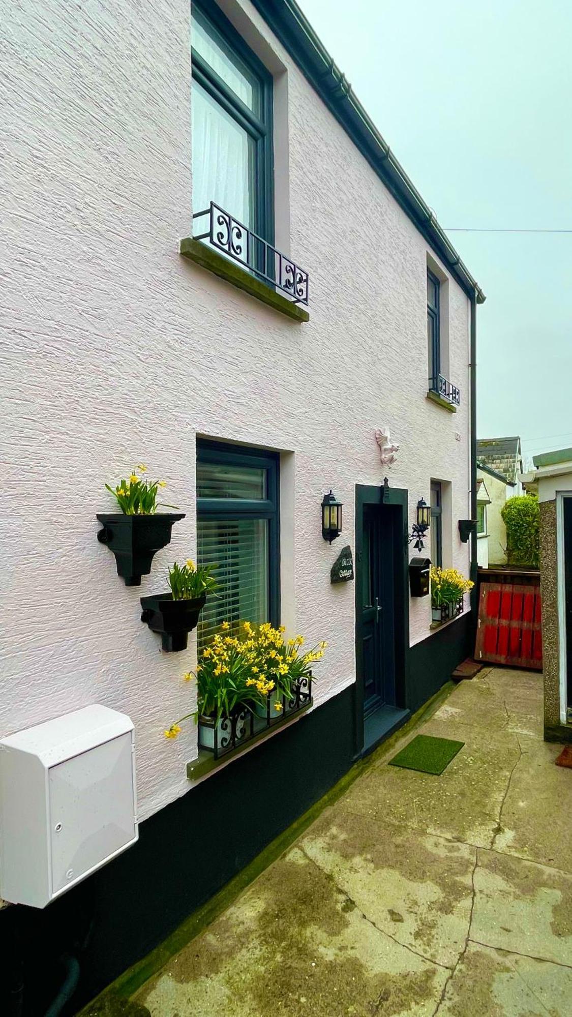 Beautiful Mumbles/Gower Cottage Swansea Ngoại thất bức ảnh